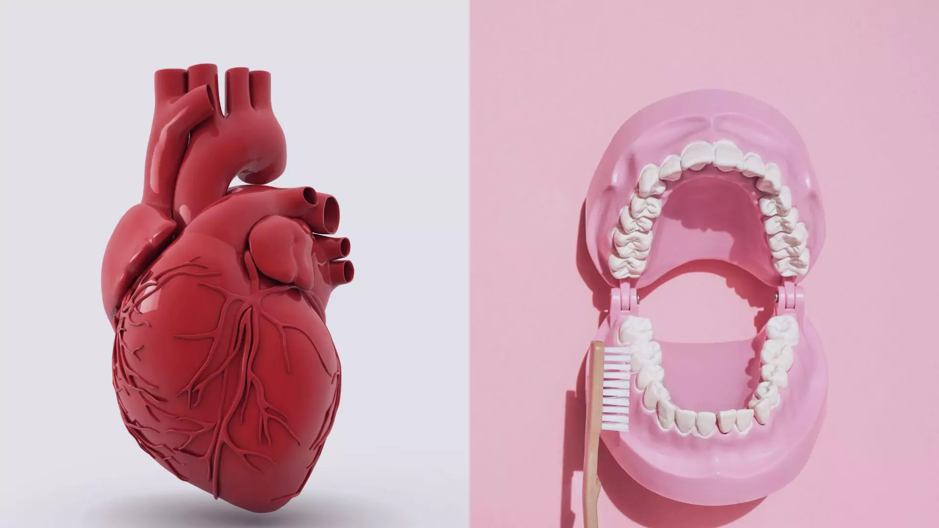 La conexión entre el cálculo dental y los riesgos cardiovasculares: Lo que los dentistas deben saber